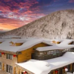 Luxury on Wheels: A Joyride Through GCC Celebrities’ Car Collections